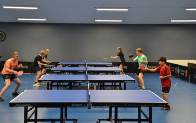 Inbjudan u-serierna vår