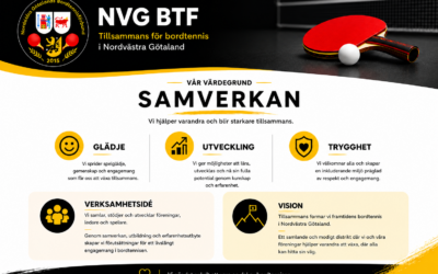 Värdegrundsarbete